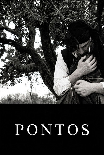 Póster de Pontos