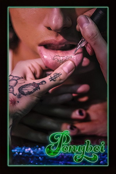 Póster de Ponyboi