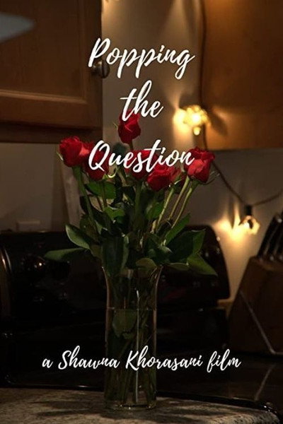 Póster de Popping the Question