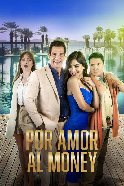 Póster de Por amor al money