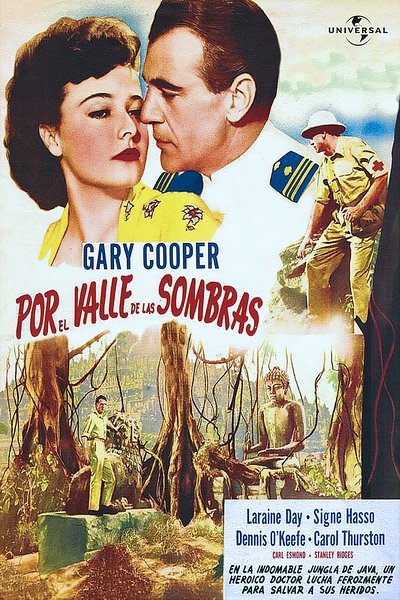 Póster de Por el valle de las sombras