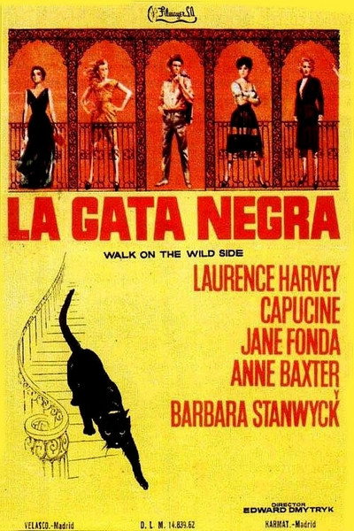 Póster de Por los barrios bajos