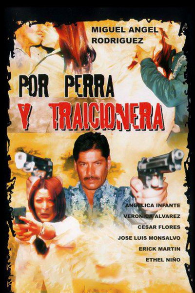 Póster de Por perra y traicionera
