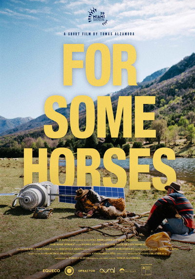 Póster de Por unos caballos
