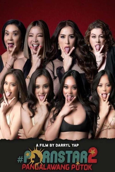 Póster de Pornstar 2