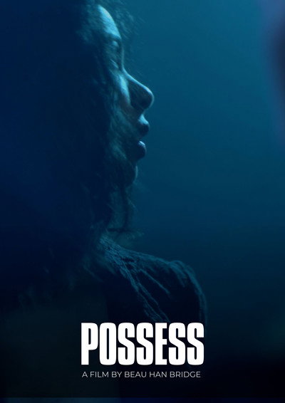 Póster de Possess
