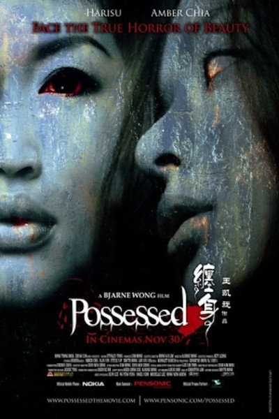 Póster de Possessed