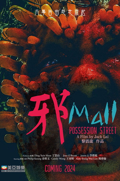 Póster de Possession Street