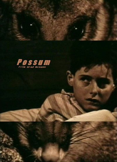 Póster de Possum