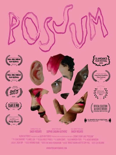 Póster de Possum