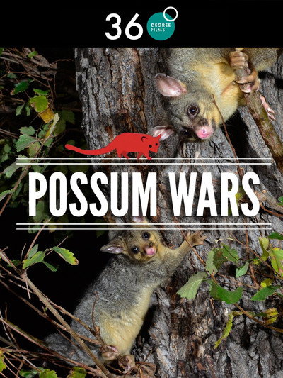 Póster de Possum Wars