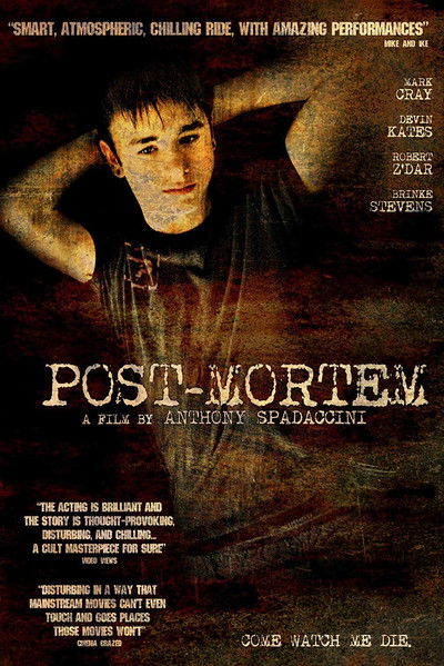 Póster de Post-Mortem