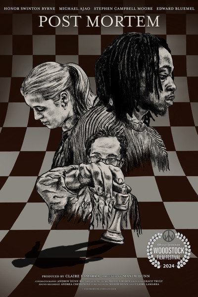 Póster de Post Mortem