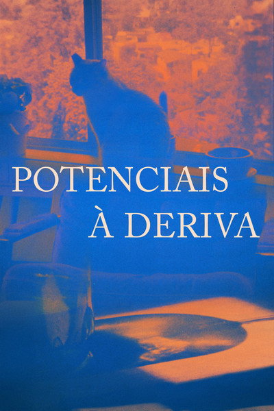 Póster de Potenciais à Deriva