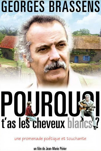 Póster de Pourquoi t'as les cheveux blancs...