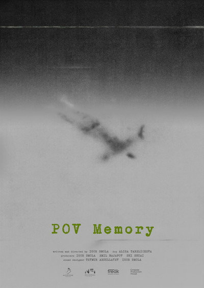Póster de POV Memory
