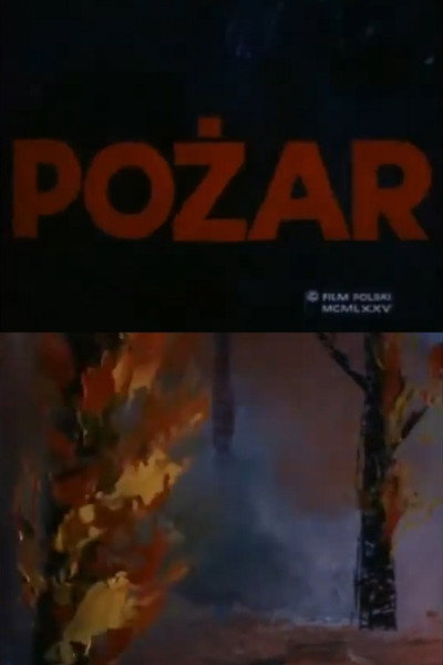 Póster de Pozar