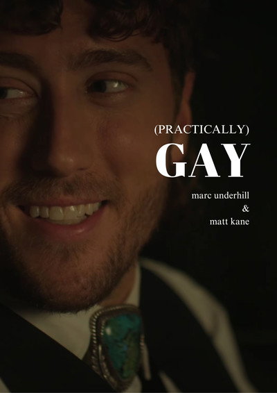 Póster de Practically Gay