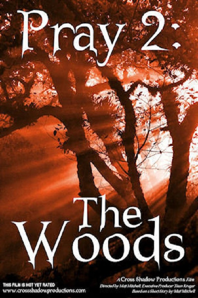 Póster de Pray 2: The Woods