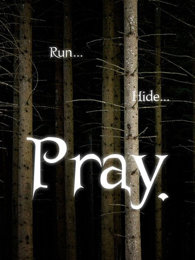 Póster de Pray.