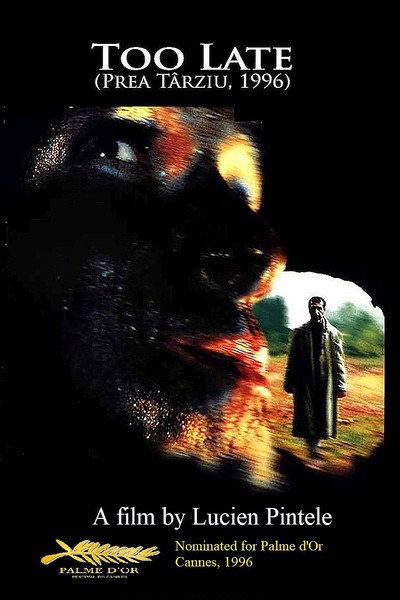 Póster de Prea târziu (Demasiado tarde)