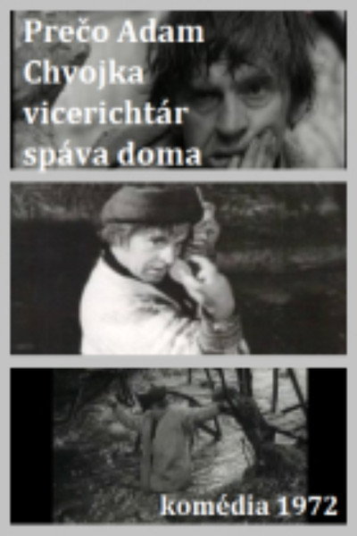 Póster de Preco Adam Chvojka spáva doma
