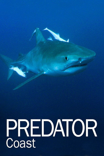 Póster de Predator Coast