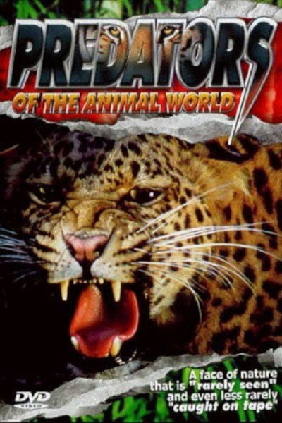 Póster de Predators of the Animal World