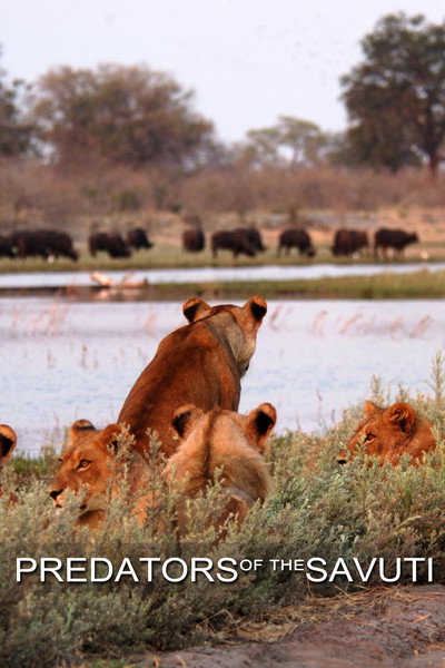 Póster de Predators of the Savuti