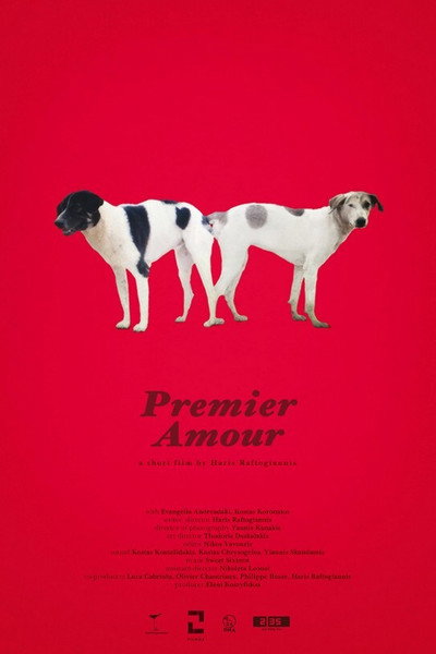 Póster de Premier Amour