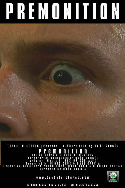 Póster de Premonition