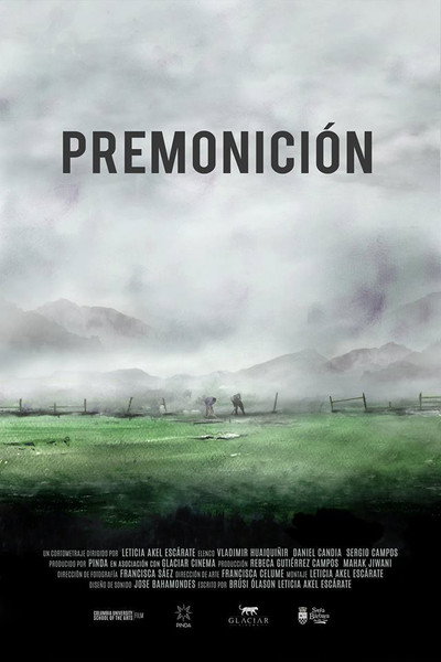 Póster de Premonition
