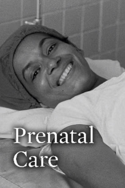 Póster de Prenatal Care