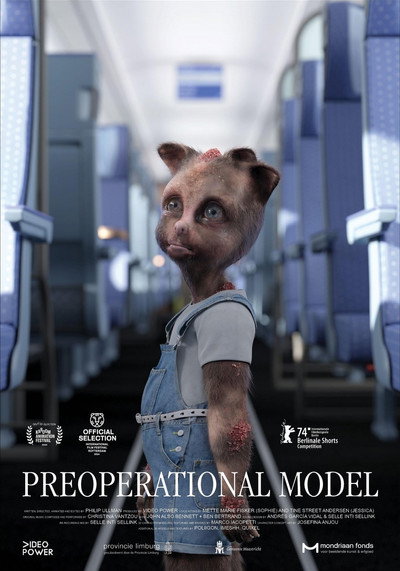 Póster de Preoperational Model