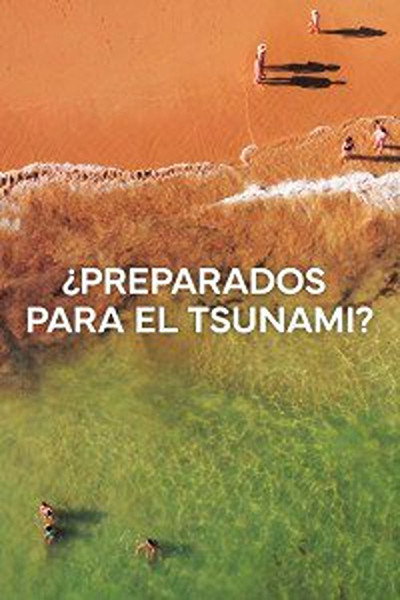 Póster de ¿Preparados para el Tsunami? [Ready for the Tsunami?]