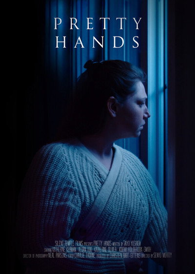 Póster de Pretty Hands