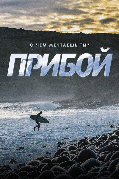 Póster de Priboi
