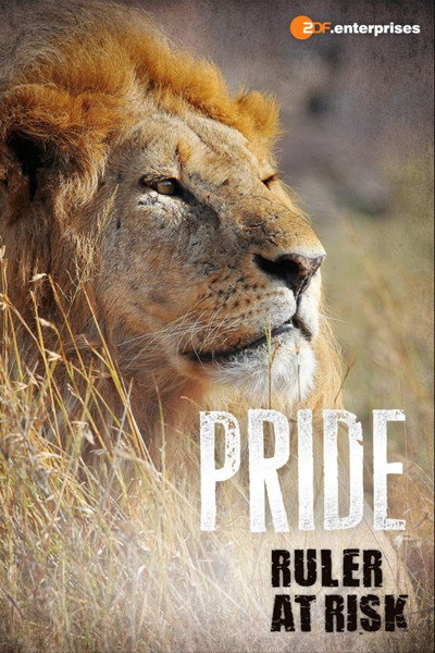 Póster de Pride: Ruler's at Risk