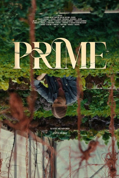 Póster de Prime