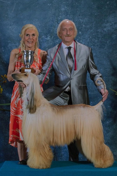 Póster de Prince