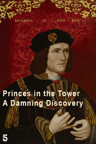 Póster de Princes in the Tower: A Damning Discovery
