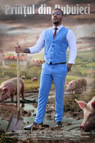 Póster de Printul din Bubuieci
