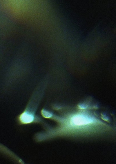 Póster de Prisms