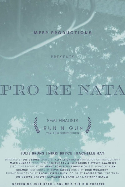 Póster de Pro Re Nata