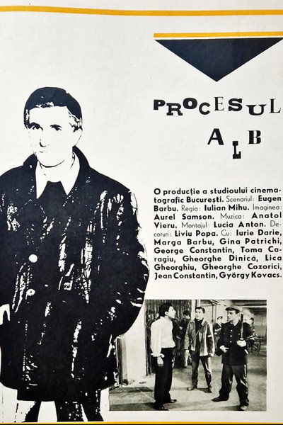 Póster de Procesul alb