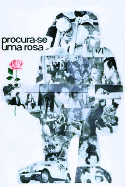 Póster de Procura-se uma Rosa