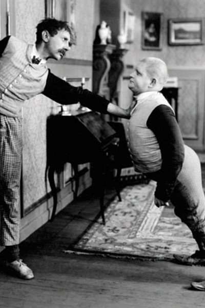 Póster de Professor Petersens Plejebørn