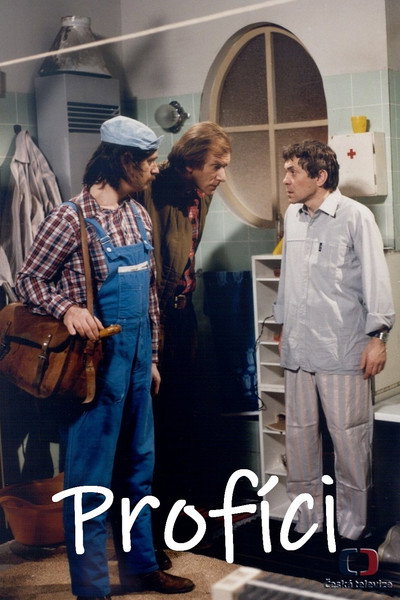 Póster de Profíci