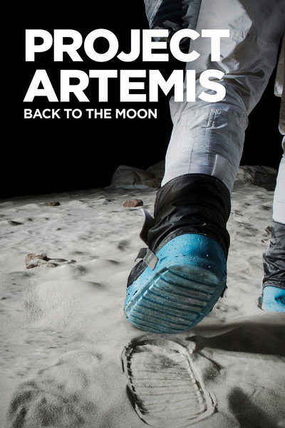 Póster de Project Artemis: Back to The Moon