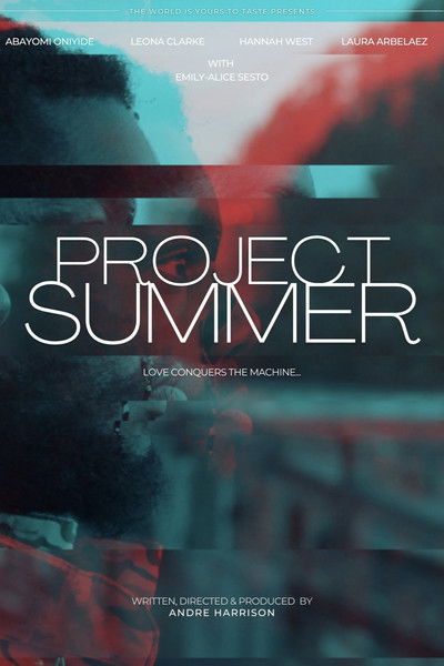 Póster de Project Summer